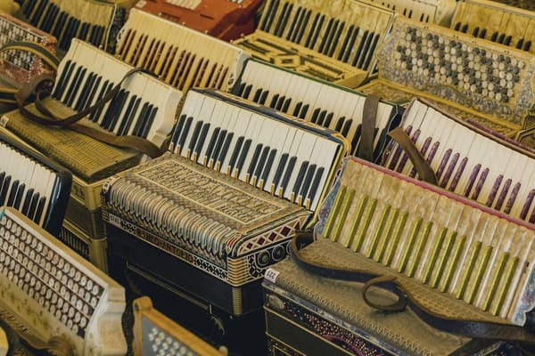 Accordions for sale